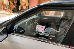 توجد قطة في المحرك