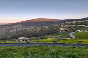 ريبورتاج : تمقرة.. وينطق الصمت بصورة الجمال