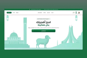 من السوق إلى الشاشة